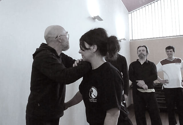 Tai Ji Quan - Canteleu - satge G.Saby 2013